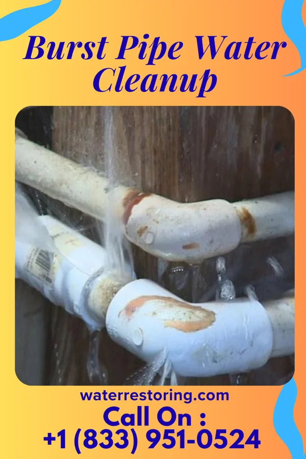 Burst Pipe Water Cleanup in Ballard, CA